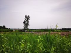 -绿堤公园
