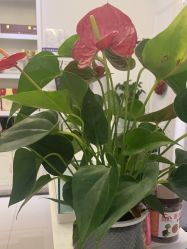 -香秀空间科技抗衰·美容中心