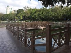 -南宁南湖公园