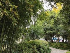 -汇龙潭