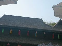 -西双版纳原始森林公园