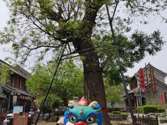 -老槐树煎包