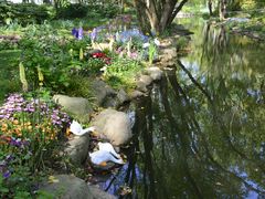 -上海共青森林公园