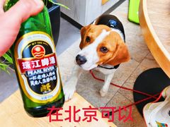 -日本大使馆-新闻文化中心