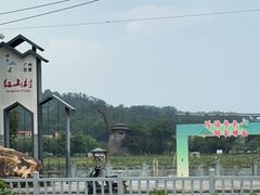 -红山村