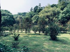 -云溪植物园