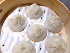 鲜肉小笼-苏小柳手工点心(人民广场分院)
