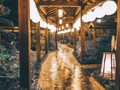 -杭州第一世界大酒店·云曼温泉