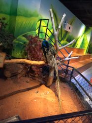 -未来动物城动物主题公园(大悦城店)