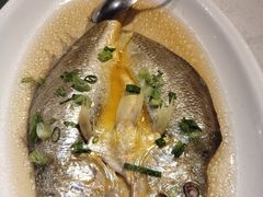 -金美华轩(东方路齐鲁店)
