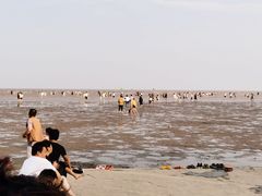 -碧海金沙