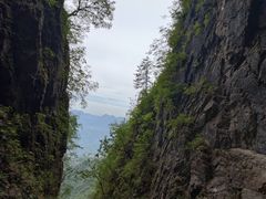 -塔云山