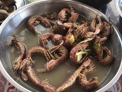 白灼赖尿虾-胜记大排档·台山本地海鲜·台山黄鳝饭