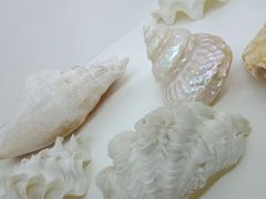 -梦幻海洋王国(吾悦广场张家港店)