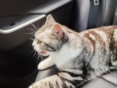 -柴门饭儿(成都太古里店)