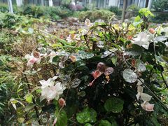 -苏州香山国际大酒店