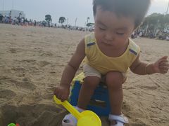 -碧海金沙