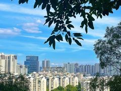 -金鸡山公园