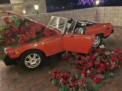 -华谊兄弟（长沙）电影小镇