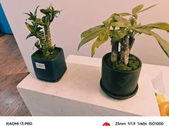 -好声音艺术培训馆(友好路店)