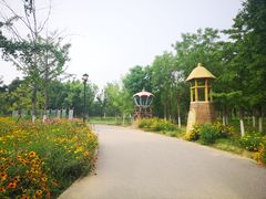 -永定河休闲森林公园