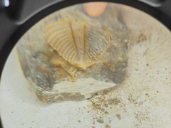 -房山世界地质公园博物馆