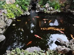 -鲤院·新中式美学·庭院餐厅(夫子庙店)