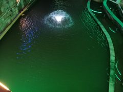 -亚龙湾亚泰商业街