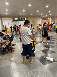 点击看大图 -上海交通大学医学院附属上海儿童医学中心(陆家嘴总院区)