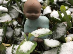 -七彩云南庆沣祥茶庄(金融街店)