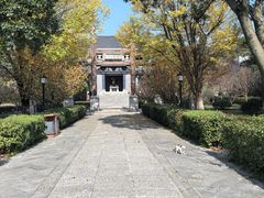 -句容茅山景区
