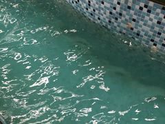 -南宫温泉水世界