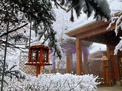 -汉拿山温泉度假酒店