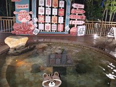 -天目湖涵田半山温泉