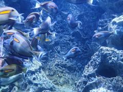 -成都浩海立方海洋公园