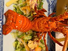 -活伊势龙虾料理 中纳言(千日前味乐馆店)