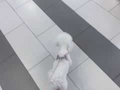 -萨莉亚(百信广场店)
