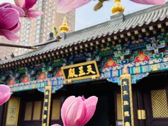 -护国法轮寺