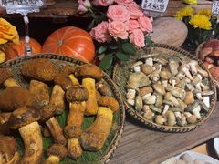 -滇铺子•云南特色菜•野生菌季(南亚福景路·海埂大坝店)