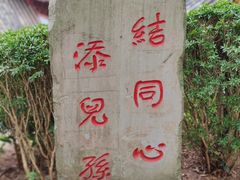 -丰都鬼城名山景区