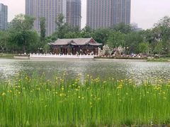 -西海子公园