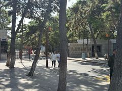 -长春市南湖公园