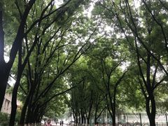 -陕西师范大学(雁塔校区)