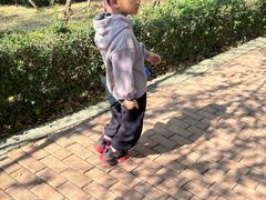 -泉州海丝野生动物世界