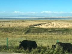 景点-青海湖国家重点风景名胜区