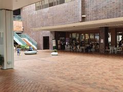-香港大学