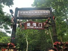 -呀诺达热带雨林
