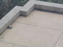 -白鹭洲公园