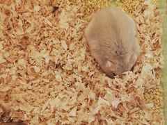 -拿渡麻辣香锅(银泰创意城店)