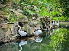 -兰亭风景区